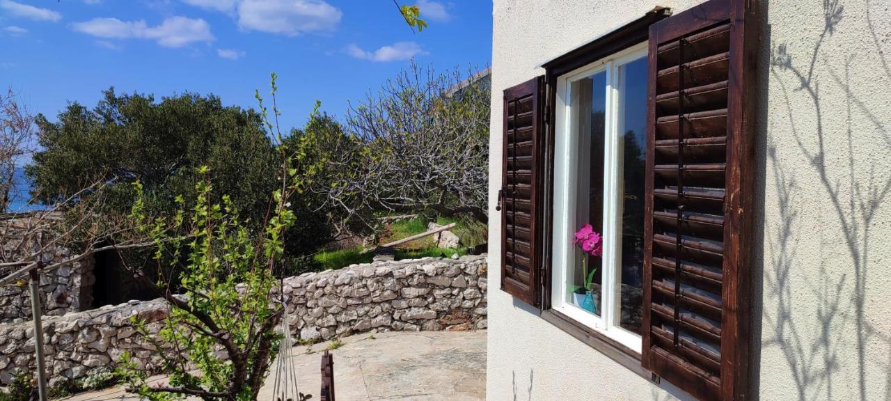 Vila Sea House Anka Banj Exteriér fotografie